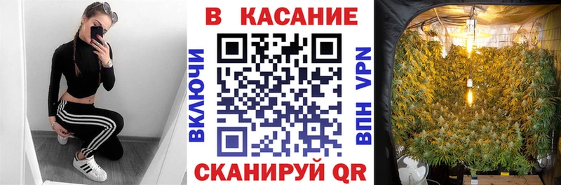 Купить наркотики цена Елизово КОКАИН Мефедрон гидра как зайти Бошки Шишки ГАШ Альфа ПВП
