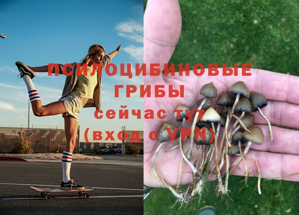 спиды Алзамай