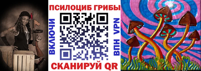 Псилоцибиновые грибы мухоморы  MEGA как зайти  Елизово 